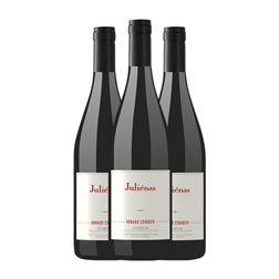 Arnaud Combier Gamay Juliénas 75 cl Vino Tinto (Caja de 3 unidades)