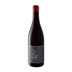 Arnot-Roberts Bastardo North Coast Eco — Ecológico 75 cl Vino Tinto