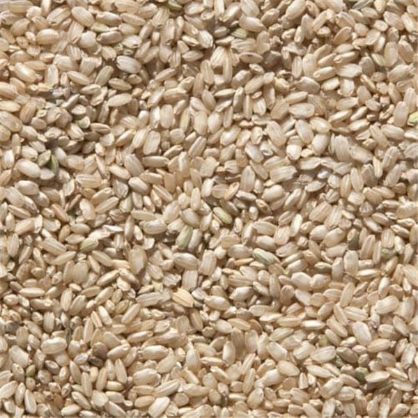 Arroz Redondo integral, Sivaris-lateral
