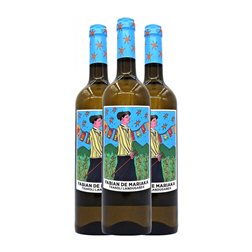 Artomaña Fabián de Mariaka Hondarribi Zuri Seco Arabako Txakolina 75 cl Vino Blanco (Caja de 3 unidades)
