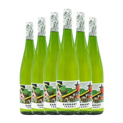 Artomaña Xarmant Seco Arabako Txakolina 75 cl Vino Blanco (Caja de 6 unidades)