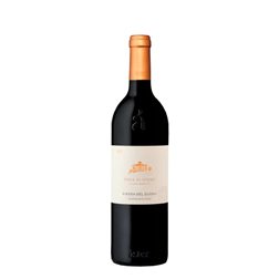 Aster Finca el Otero 2021