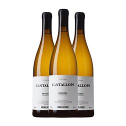 AT Roca Anima Mundi Cantallops Xarel·lo Penedès 75 cl Vino Blanco (Caja de 3 unidades)