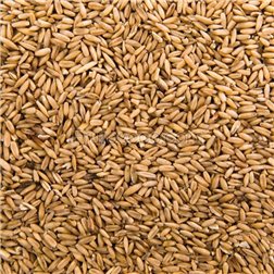 Avena pelada, bolsa 500 gramos. ( especial para elaborar leche vegetal )
