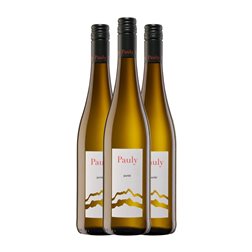 Axel Pauly Hochstr. Purist Riesling Seco Mosel 75 cl Vino Blanco (Caja de 3 unidades)