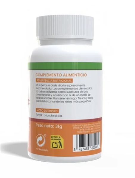 VITAMINE B12 + FER + C 60 CAPSULES 510 MG-detalle