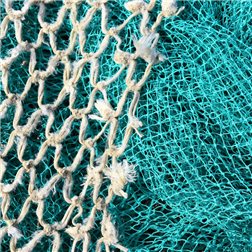Entsalzter und zerkleinerter Kabeljau - vakuumverpackt