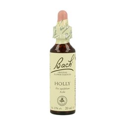 BACH ACEBO 20ML ( HOLLY )