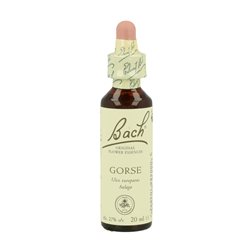 BACH AULAGA 20ML ( GORSE )