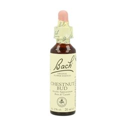 BACH BROTE DE CASTAÑO 20ML ( CHESTNUT BUD ) FAES 102991
