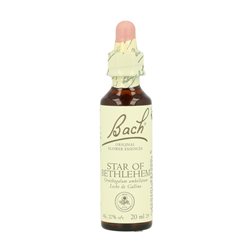 BACH ESTRELLA DE BELEN 20ML ( STAR OF BETHLEHEM )