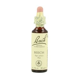 BACH HAYA 20ML ( BEECH )