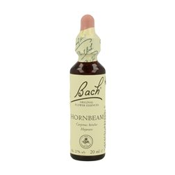 BACH HOJARAZO 20ML ( HORNBEAM )