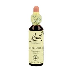 BACH SCLERANTHUS 20ML (SCLERANTHUS) se traduce al francés como:

BACH SCLERANTHUS 20ML (SCLERANTHUS) 

El nombre del producto y el término técnico permanecen igual en este caso.