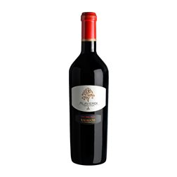 Badagoni Alaverdi Saperavi Kakheti Traditional — Tradicional 75 cl Vino Tinto