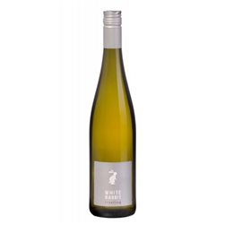 Balthasar Ress White Rabbit