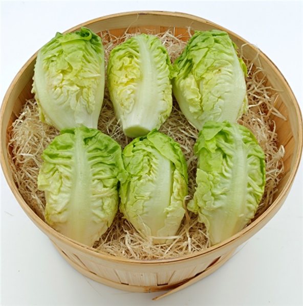 Bandeja de Corazones de Lechuga-lateral