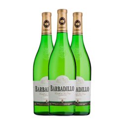 Barbadillo Castillo San Diego Palomino Fino Vino de la Tierra de Cádiz Joven Botella Magnum 1,5 L Vino Blanco (Caja de 3 unidades)
