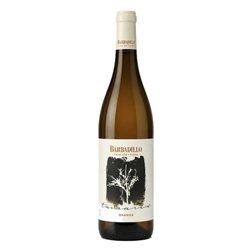 Barbadillo Orange Organic Tamarix 2024