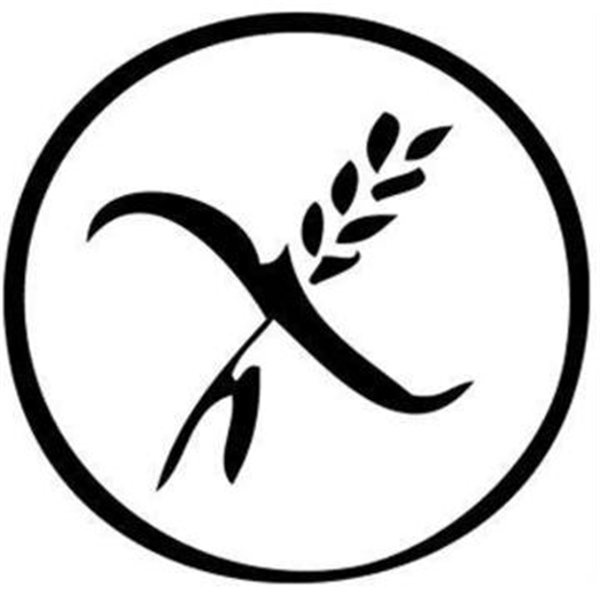 Base de Pinsa Romana Sans Gluten 250g-detalle