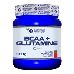 BCAA + Glutamine Kyowa® 500 Gr