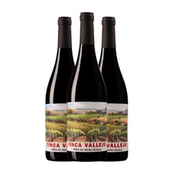 Bela Finca Vallejo Tempranillo Ribera del Duero Crianza 75 cl Vino Tinto (Caja de 3 unidades)