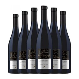 Belasco & Berasategui Campustaurus Ribera del Duero Roble 75 cl Vino Tinto (Caja de 6 unidades)