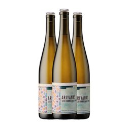 Bentomiz Ariyanas Moscatel Seco Sierras de Málaga Sobre Lías 75 cl Vegano Vino Blanco (Caja de 3 unidades)