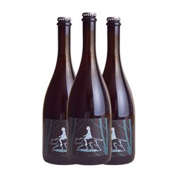 Bergianti San Vincent Lambrusco Emilia Romagna 75 cl Espumoso Rosado (Caja de 3 unidades)
