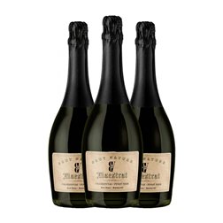 Besalduch Valls Bellmunt Maestrat Brut Nature Vin de la Terra de Castelló 75 cl Vegano Espumoso Blanco (Caja de 3 unidades)