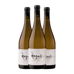 Betolaza Magadí Macabeo Seco Rioja 75 cl Vino Blanco (Caja de 3 unidades)