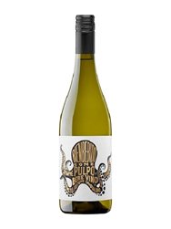 Bienbebido Tintenfisch Albariño