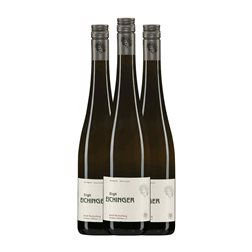 Birgit Eichinger Wechselberg Grüner Veltliner Trocken — Seco Kamptal 75 cl Vino Blanco (Caja de 3 unidades)