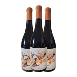 Blanca Parejo Dormida Petit Verdot 75 cl Vino Tinto (Caja de 3 unidades)