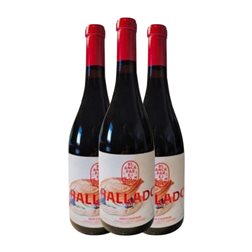 Blanca Parejo Hallado 75 cl Vino Tinto (Caja de 3 unidades)