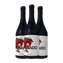 Blanca Parejo Posado Pinot Negro 75 cl Vino Tinto (Caja de 3 unidades)