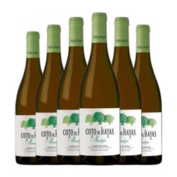 Bodegas Aragonesas Coto de Hayas Verdejo Campo de Borja 75 cl Vino Blanco (Caja de 6 unidades)
