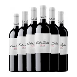 Bodegas Entrelindes Entre Lindes Cencibel 75 cl Vino Tinto (Caja de 6 unidades)