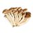 BOLETS-detalle
