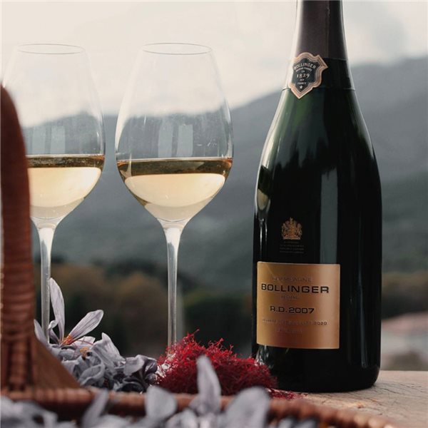 Bollinger R.D. 2007-detalle