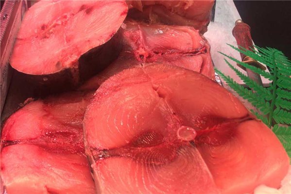 Northern Bonito-detalle