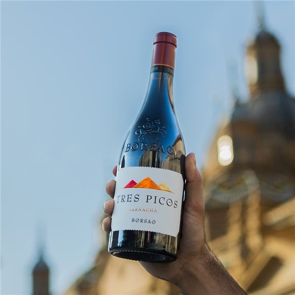 Borsao Tres Picos 2022-detalle