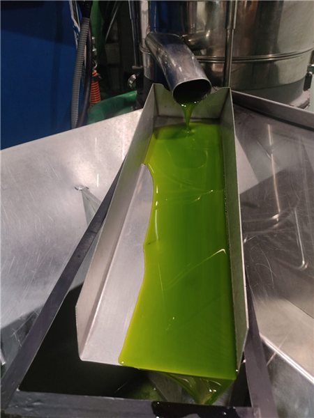 Botella de Aceite de Oliva Virgen Extra Picual 2025-lateral