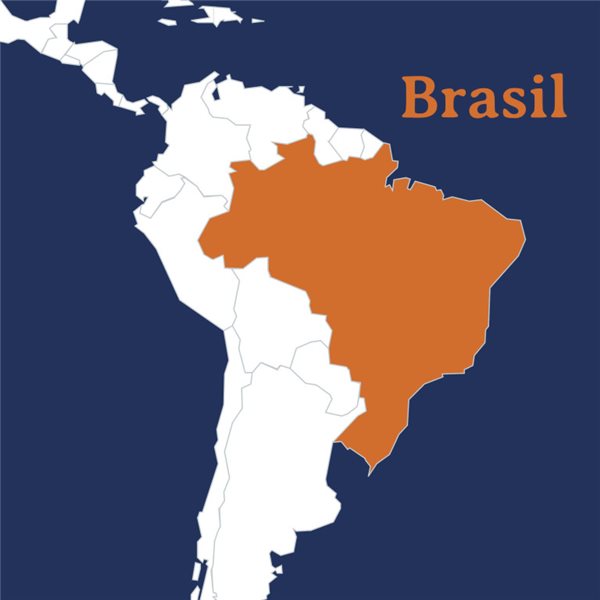 Bourbon Senses, Sabroa Cafés (Brazil)-trasera
