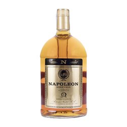 Brandy Antonio Nadal Napoleón Botella Especial 2 L