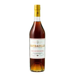 Brandy de Jerez Solera Gran Reserva Barbadillo 50cl
