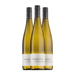 Brennfleck Sulzfelder Sauvignon Trocken — Seco Franken 75 cl Vino Blanco (Caja de 3 unidades)