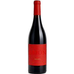 Brion Amaro Mencía 2023