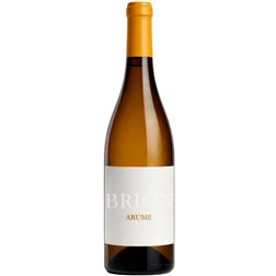 Brion Arume Treixadura 2025