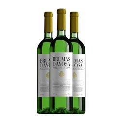 Brumas de Ayosa Palomino Fino Seco Valle del Güímar 75 cl Vino Blanco (Caja de 3 unidades)